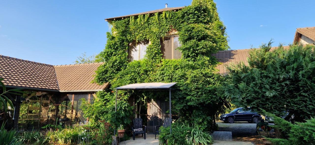 Les Grands Bois Villa Saint-Epain Exterior photo